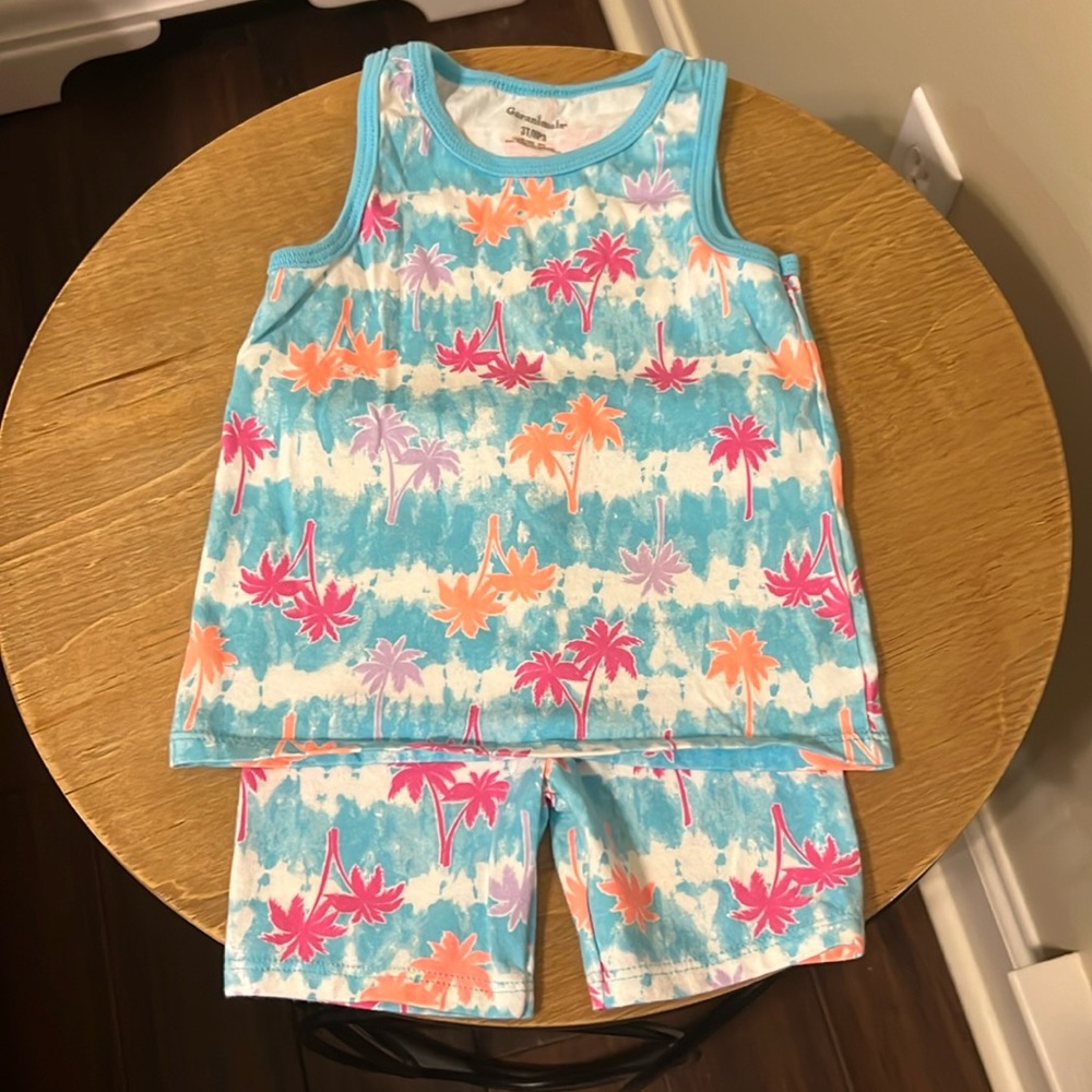 Garanimals shorts set size 3T